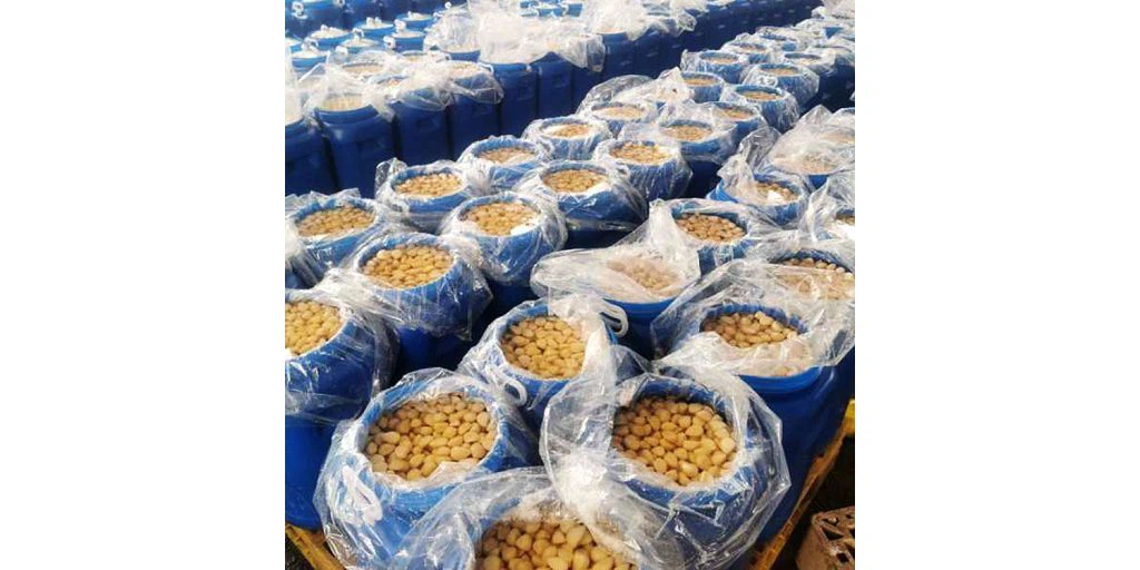 Obróbka grzybów solanki