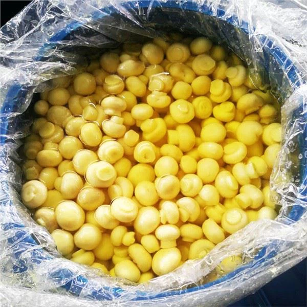 Cały grzyb w SO2 w bębnie