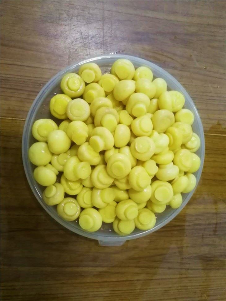 Fresh Champignon In Brine In Whole