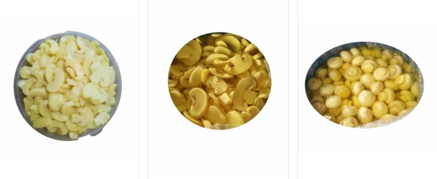 Metoda solenia solonego grzyba