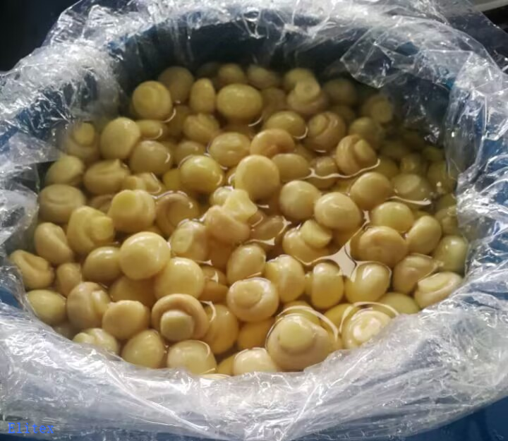 Chinese Champignon in SO2 in Barrel
