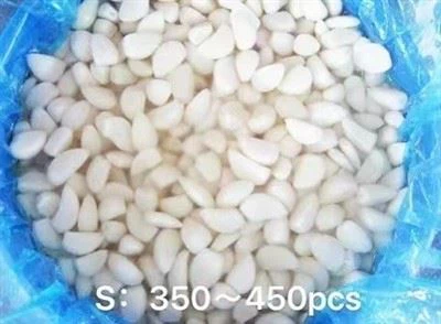 Metoda zbioru małych nasion cebuli