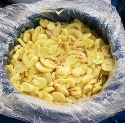 Metoda ciągłego zbioru nasion cebuli