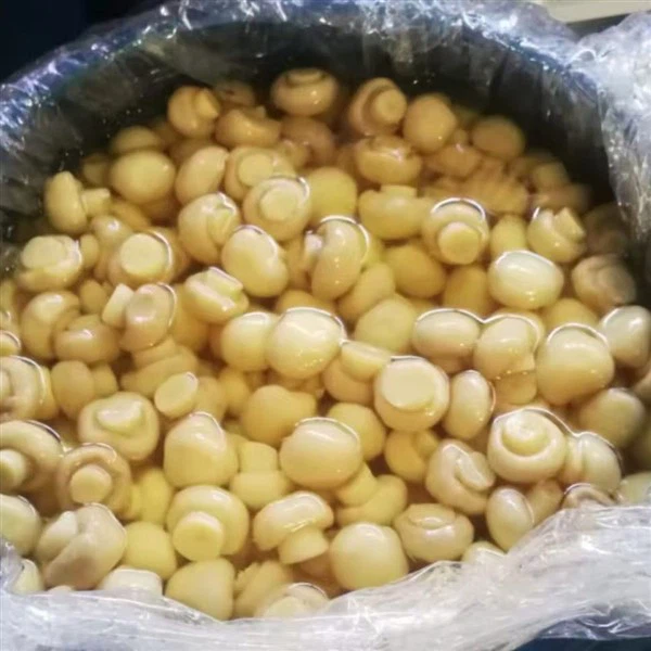 Termin siewu i ilość cebuli